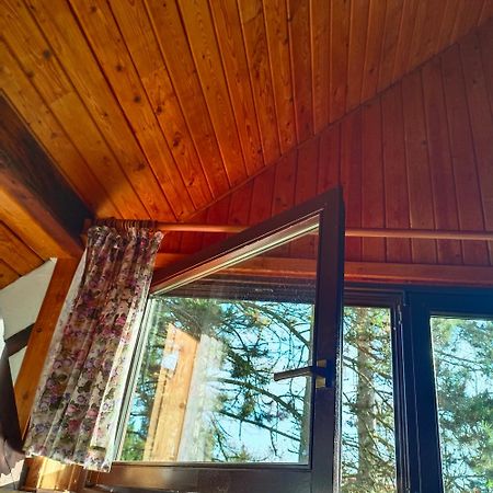 In-The-Middle-Of-Nature Spacious Nest Brandenburg Airport برلين المظهر الخارجي الصورة