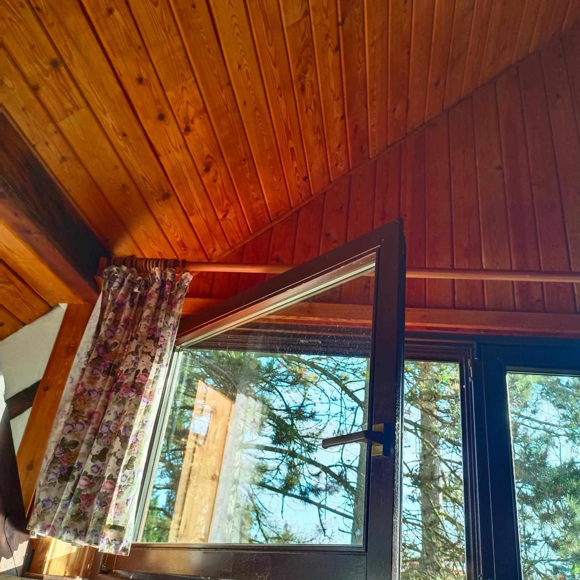 In-The-Middle-Of-Nature Spacious Nest Brandenburg Airport برلين المظهر الخارجي الصورة
